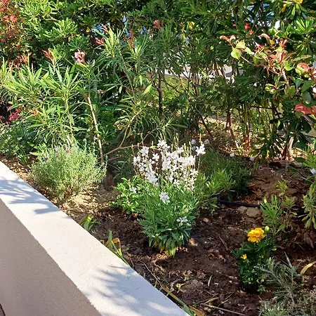 Apartment Antares-1 By Interhome Cavalaire-sur-Mer