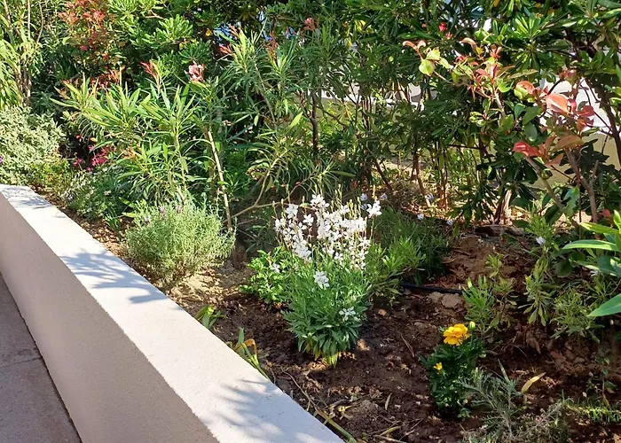 公寓 Antares-1 By Interhome 滨海卡瓦莱尔